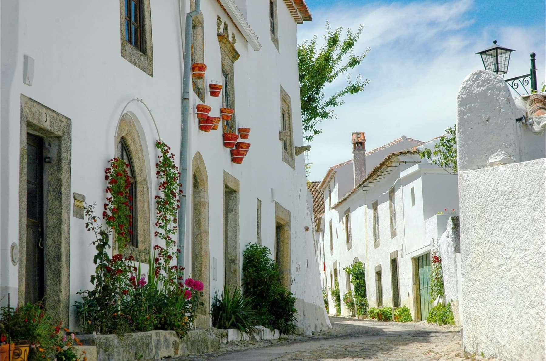 A cobbled lane of whitewashed houses hung with terracotta flowerpots in an Alentejo hilltop village